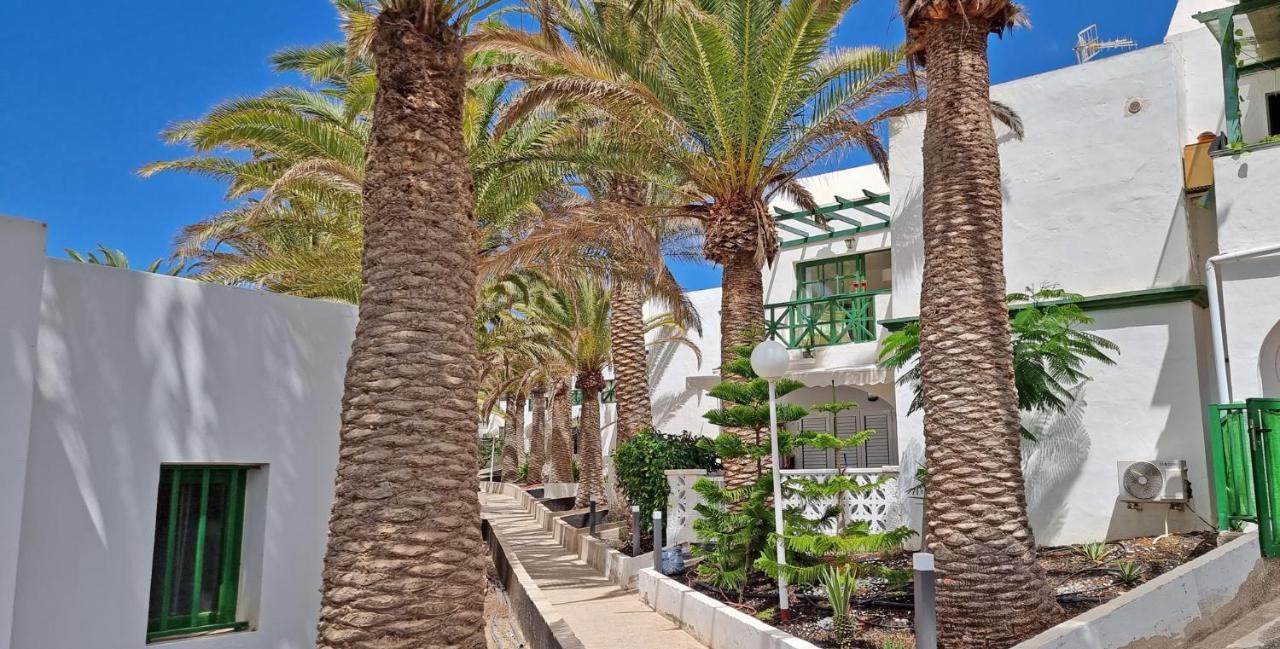 Ferienwohnung Palm Garden - Costa Calma - Pool - Glasfaserinternet ภายนอก รูปภาพ